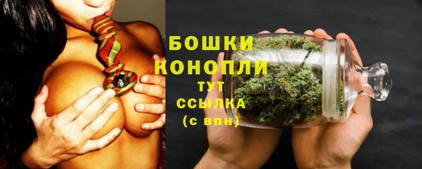 молекула духа Заволжск