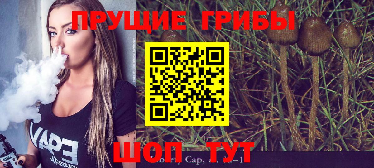 Псилоцибиновые грибы Psilocybe  Галлюциногенные грибы прущие грибы  Зерноград  купить закладку  Вход с VPN 