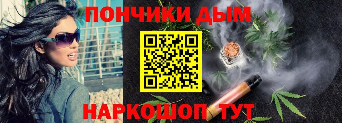 Бошки Шишки планчик Зерноград